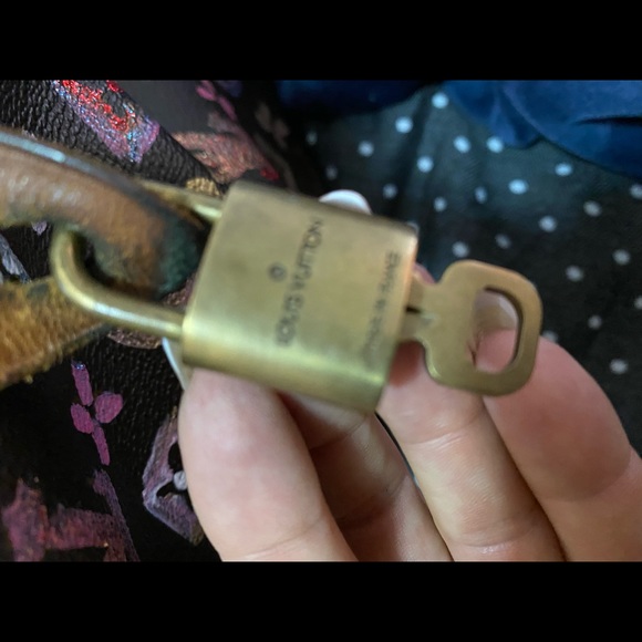 Custom painted Authentic Louis Vuitton Speedy Bag - Picture 14 of 16